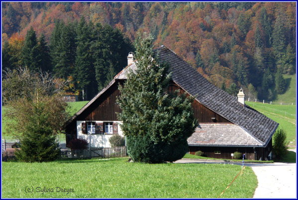 Download Beste sprueche jamais Free